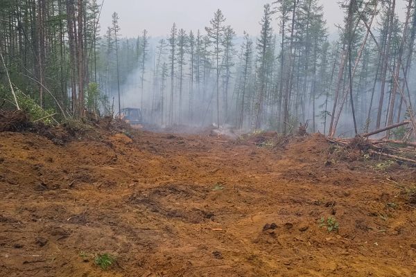 Cost of Hill Clearing in Spokane