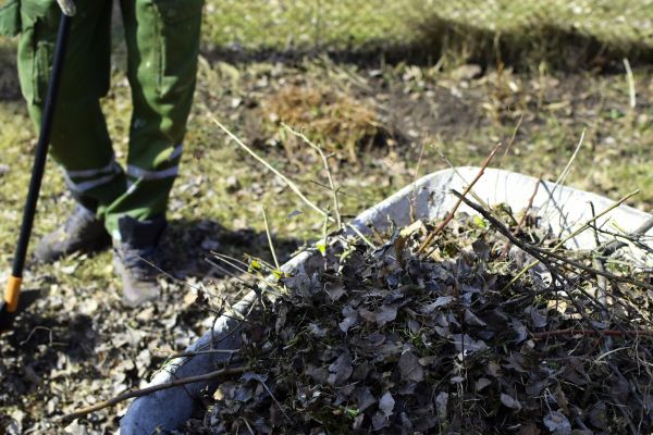 Underbrush Clearing Service