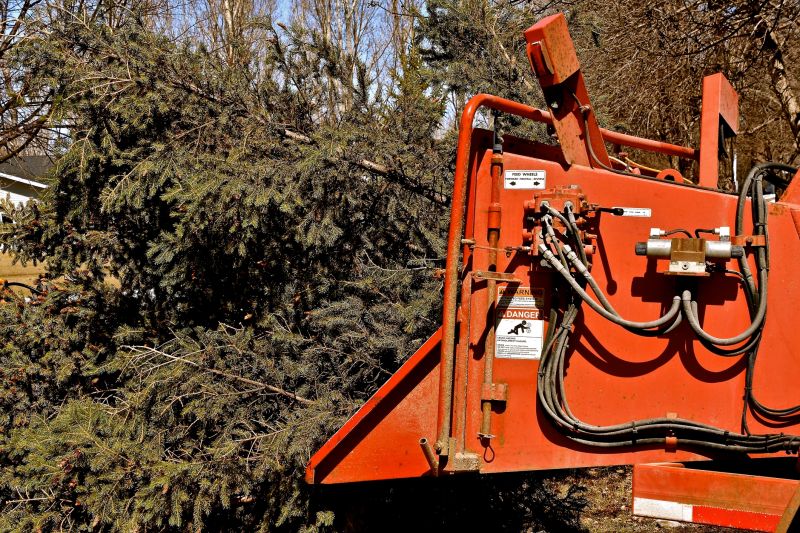 Tree Removal Equipment in Action